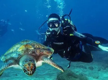 Casa Bonita 別荘 Abades