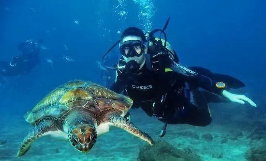 Casa Bonita Semesterbostad Abades (Tenerife)